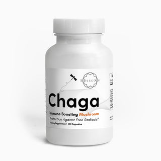 Chaga (Mushroom)