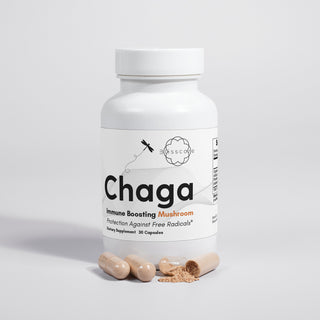 Chaga (Mushroom)