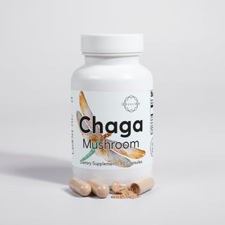 Chaga Mushroom