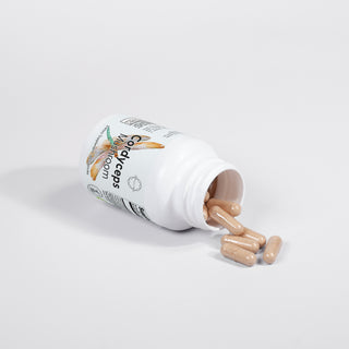 Cordyceps Mushroom