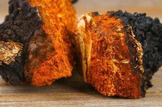 Chaga (Mushroom)